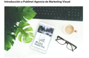 Visual Publinet opiniones